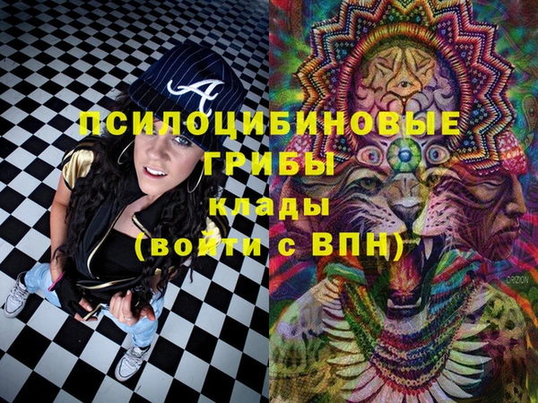 ГАЛЛЮЦИНОГЕННЫЕ ГРИБЫ Балабаново