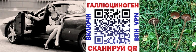 Галлюциногенные грибы Cubensis  Купить где  Фролово 